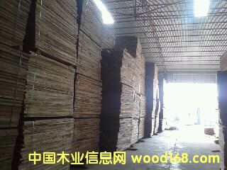 ��ľ��Ԕ����B