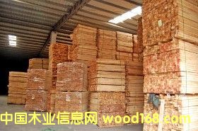 ���zľ��Ԕ����B