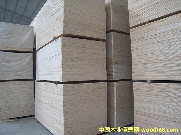 ��(x��)ľ���壨ɼľо����Ԕ��(x��)��B