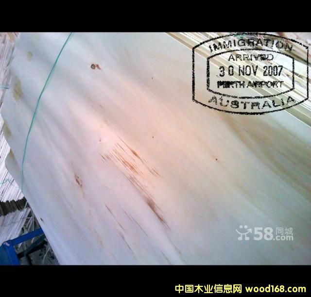 ��ľƯ�״�Ƥ��Ԕ��(x��)��B