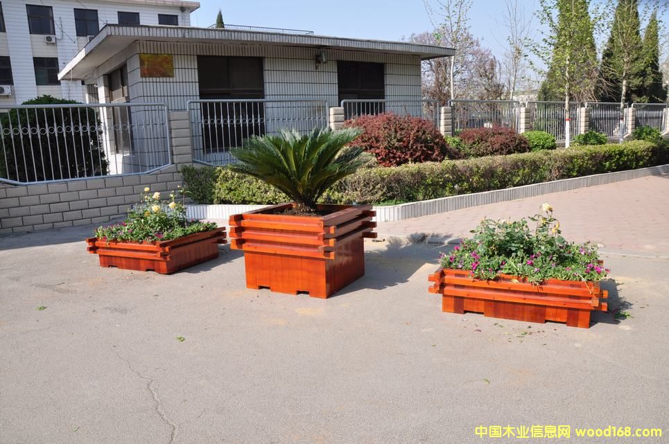 ���v����ľ��Ԕ����B