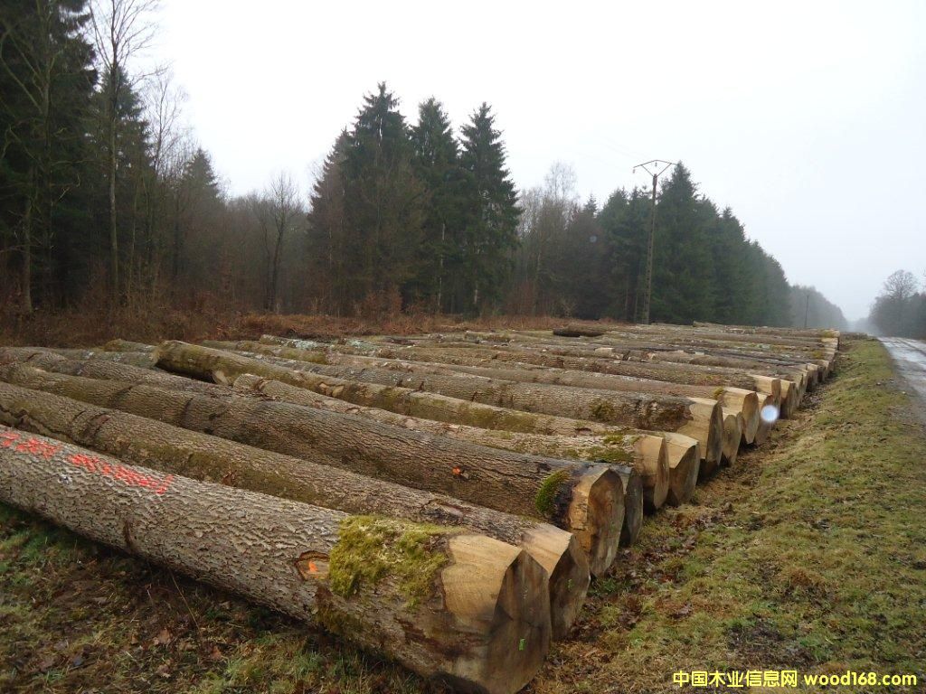 ��ֱ����Ϟ��Ԕ����B