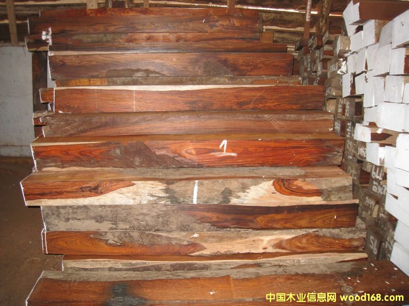 微凹黃檀(精方) 微凹黃檀(精方)