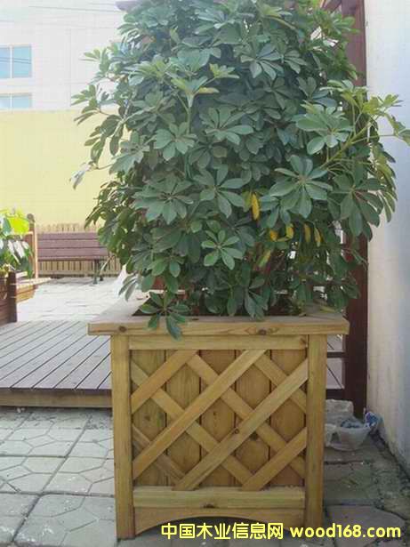 ����ľ��Ʒ��Ԕ����B