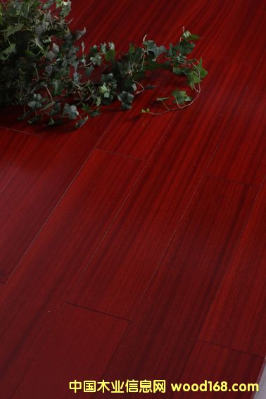 �·ƹ���(y��ng)��(y��u)�|(zh��)ɳ������ľ��(f��)�ϵذ��Ԕ����B