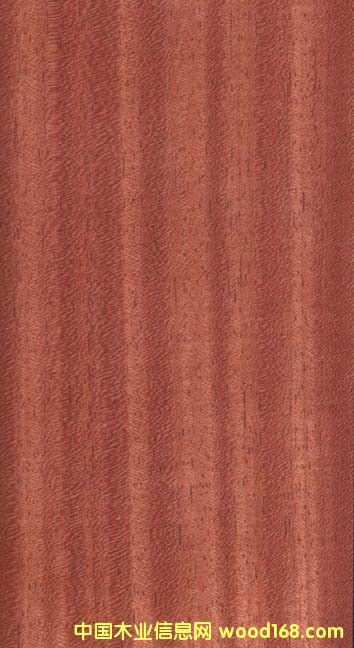 [��] �T�����ذ�|�T��CCA����ľ��(b��o)�r(ji��)|�T������(b��o)�r(ji��)|