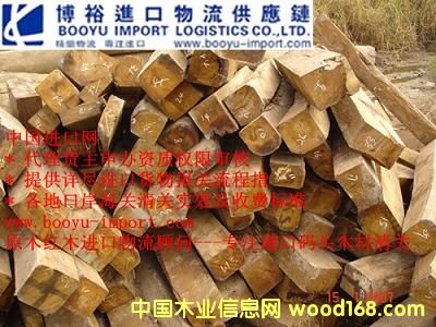 ɳ����/�tӰľ��Ԕ��(x��)��B