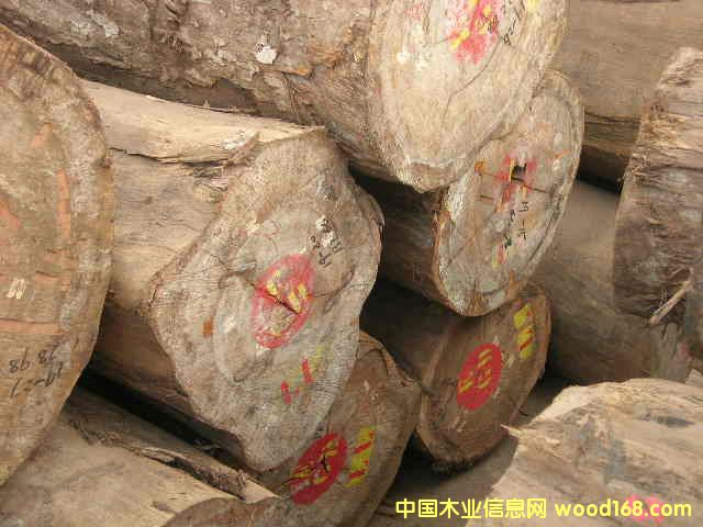 �M(j��n)��Խ�Ͼ����z�ľ/��z��/�Sо�ľ���M(j��n)�ڈ�(b��o)�P(gu��n)��Ԕ��(x��)��B