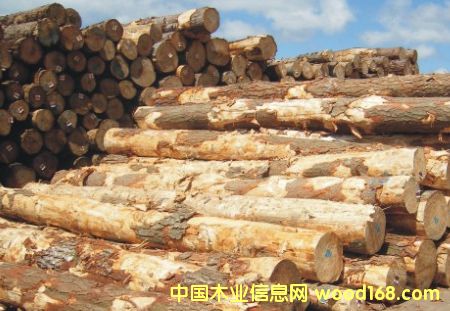 �����mݗ����ԭľ��Ԕ��(x��)��B