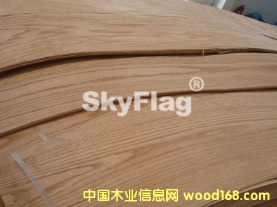 �t���Ԕ��(x��)��B