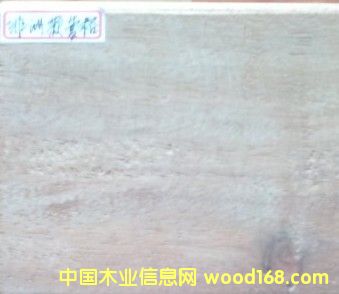 ���޲��}���Ԕ��(x��)��B