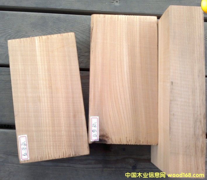 紅雪松的詳細介紹