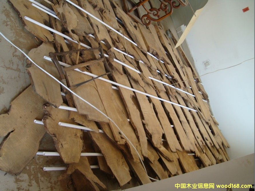 ��z�ľ�ϸ��ϣ��E骣�