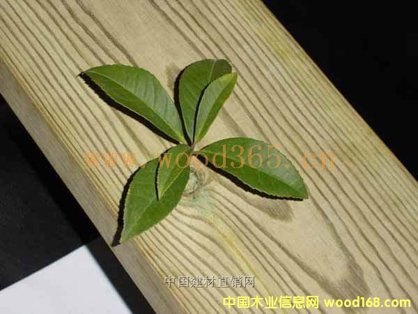 �Ϸ��ɵ�Ԕ��(x��)��B