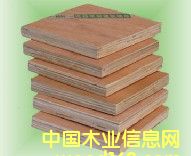 ���Ӱ��Ԕ����B