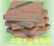 ���Ӱ��Ԕ����B