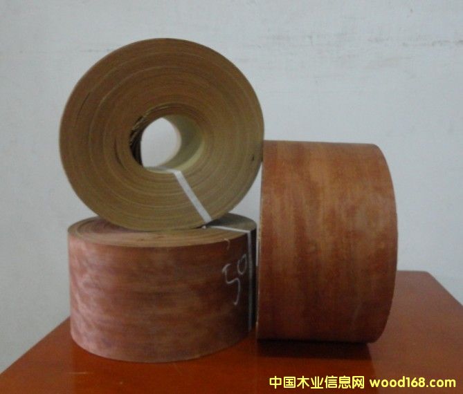 �������X��Ƥ��Ԕ��(x��)��B