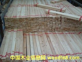 ���ݰl(f��)؛��Ԕ��(x��)��B