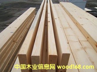 輻射松的詳細介紹