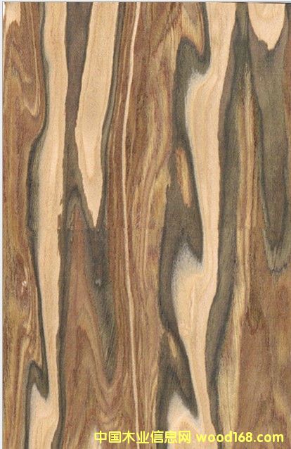 �O��ľ�Ƽ�ľƤ��Ԕ����B