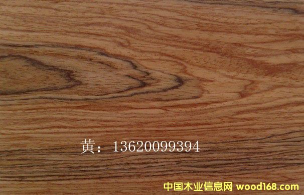 ���ҿƼ�ľƤ