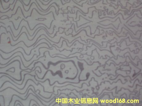 浮雕印染飾面板 浮雕印染飾面板