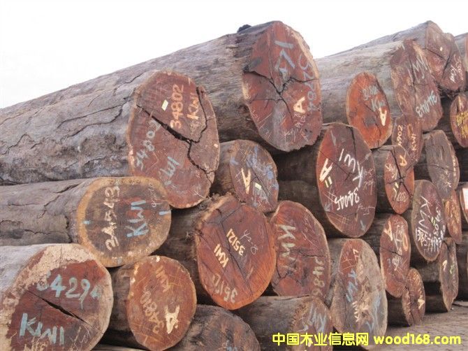 ���}���Ԕ��(x��)��B