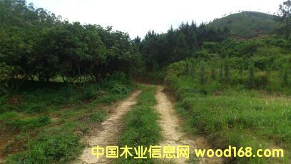 ����Ԕ��(x��)��B