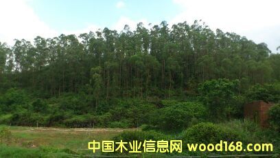 ����Ԕ��(x��)��B