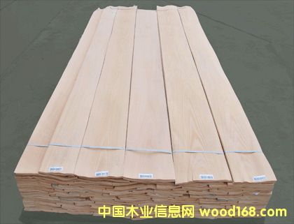 ��ľľƤɽ�y��Ԕ����B