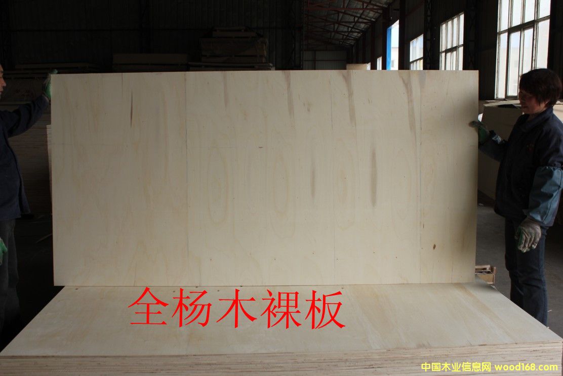 ��ľ����Ԕ��(x��)��B