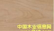 ̫ƽ�����Ԕ��(x��)��B