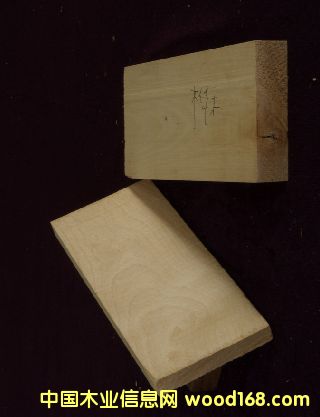 ��ľԭľ��Ԕ��(x��)��B