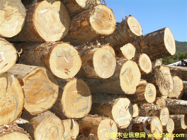 ��ľԭľ��Ԕ��(x��)��B