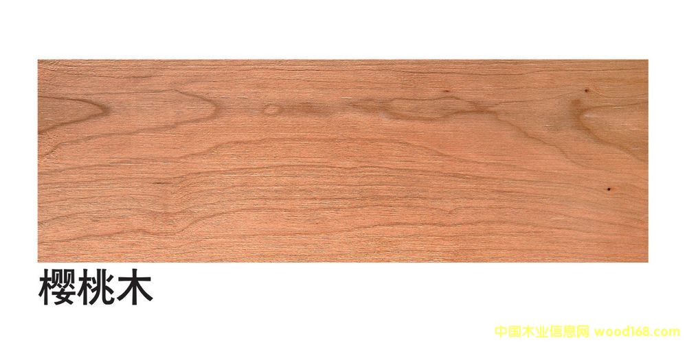 �����M(j��n)�ڙ��Ұ��