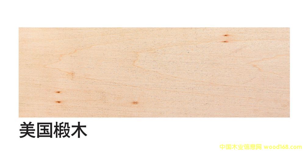 �����M���ľ��ĵ�Ԕ����B