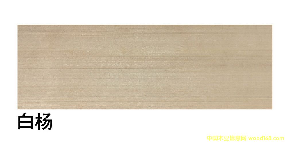 �����M�ڰח��ĵ�Ԕ����B