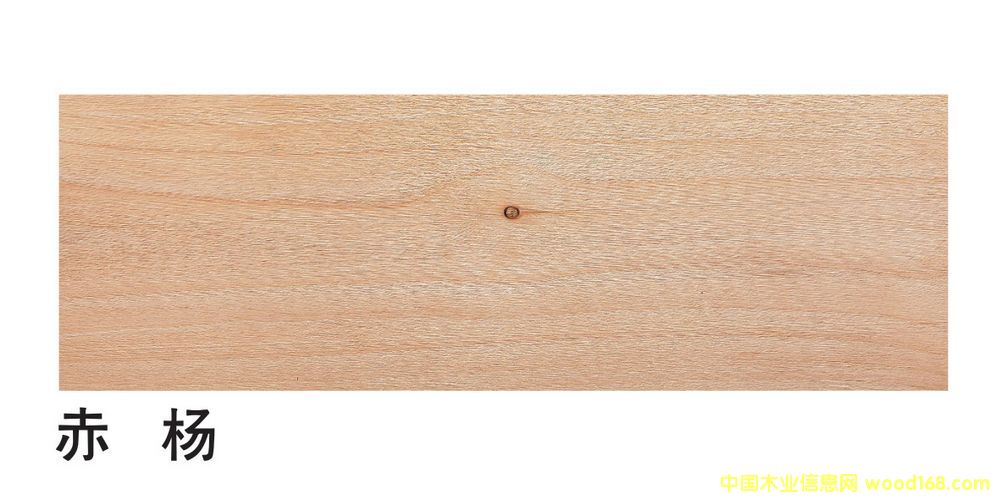 �����M�ڳ��P��ĵ�Ԕ����B