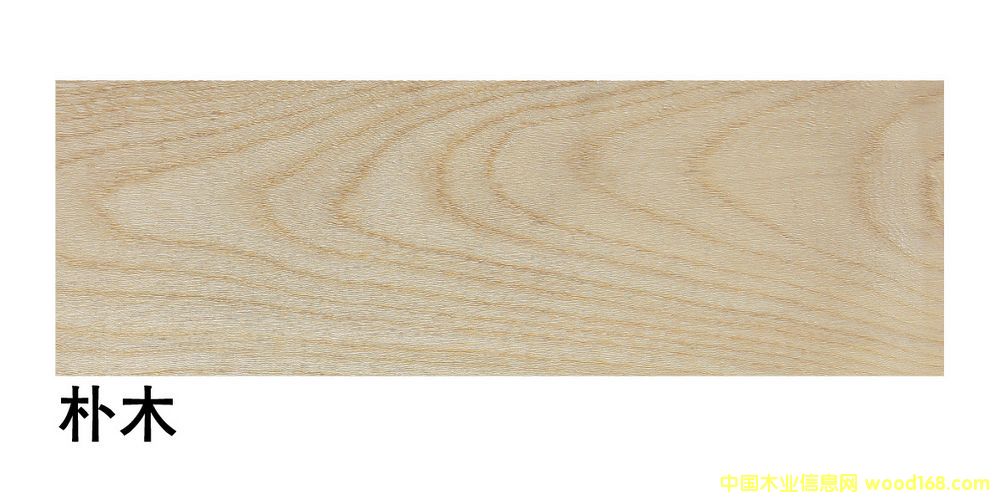 �����M�ژ�ľ��ĵ�Ԕ����B