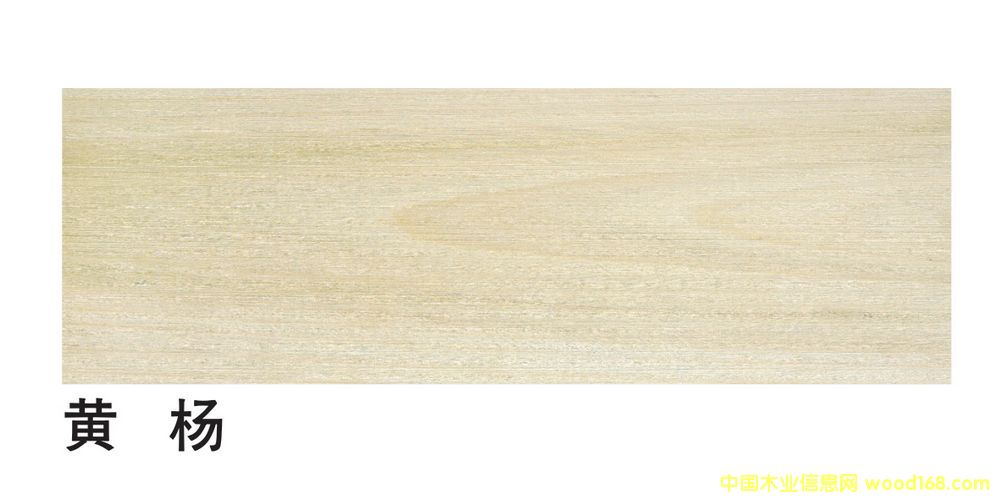 �����M���S���ĵ�Ԕ����B