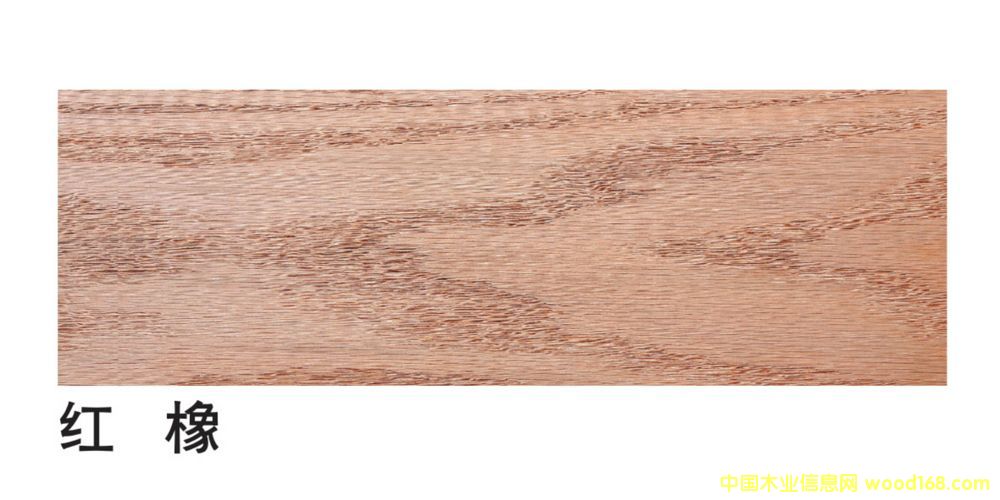 �����M(j��n)�ڼt����