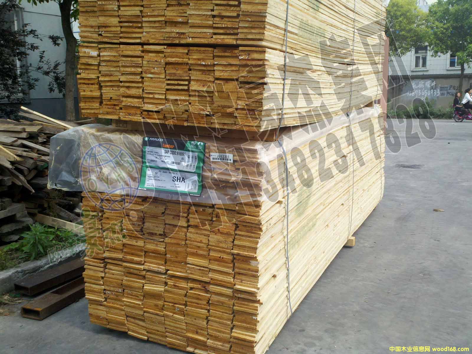 [��] �̓rARAUCO����ݗ����24�Ҿ߼����