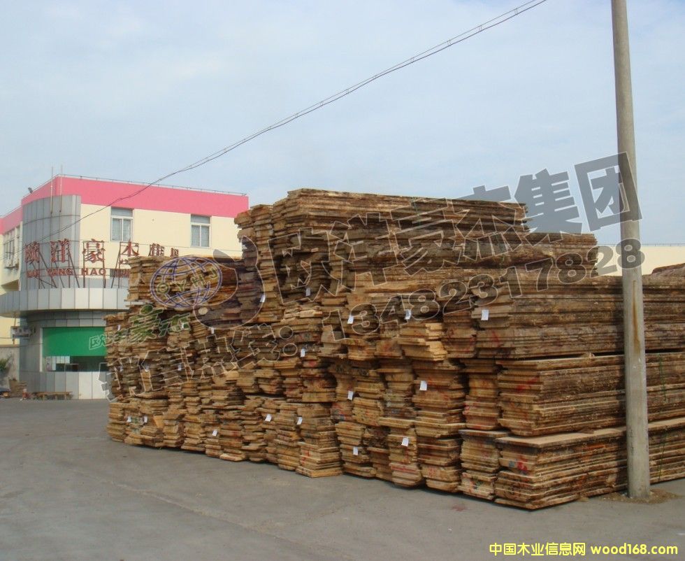 [��] ݗ����ȫ�o(w��)��(ji��)�� FSC�C��(sh��) �ٷְٟo(w��)��(ji��) �](m��i)�{(l��n)׃ A��(j��)ȫ���