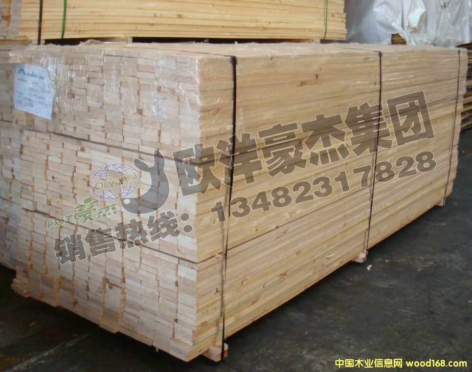 [��] �̓rARAUCO����ݗ����24�Ҿ߼����