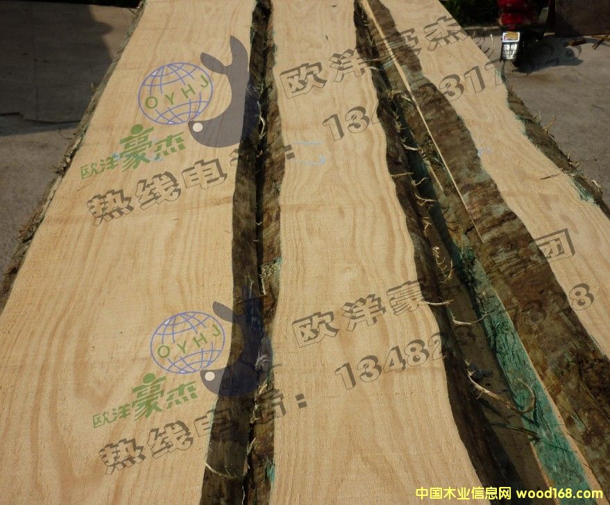 [��] ݗ����ȫ�o(w��)��(ji��)�� FSC�C��(sh��) �ٷְٟo(w��)��(ji��) �](m��i)�{(l��n)׃ A��(j��)ȫ���