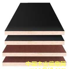 ��(sh��)ľ���Ӱ�