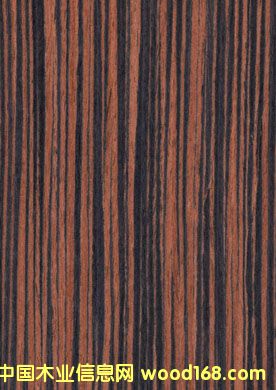 �c(di��n)���鿴�Ƽ�ľƤ�Ŵ�DƬ