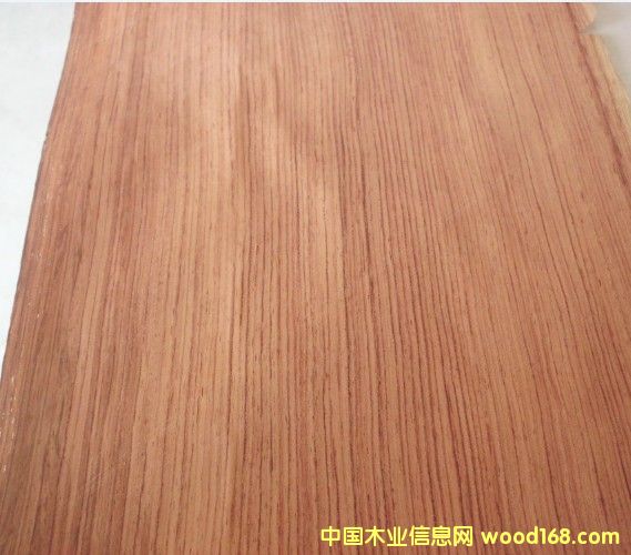 ����ֱ�y��Ԕ��(x��)��B