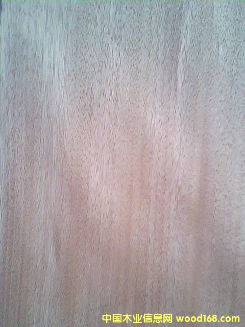 �t����