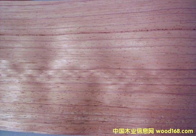 �tõ���Ԕ��(x��)��B